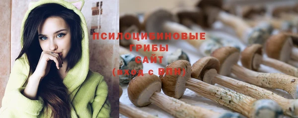 a pvp Переславль-Залесский